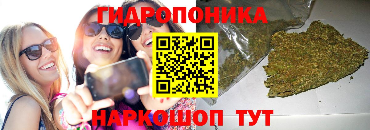 Шишки марихуана конопля Арзамас